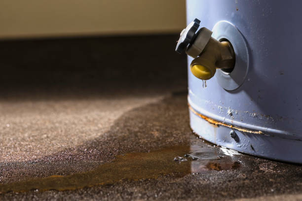 Best Professional water damage repair  in Pittsfield, MA