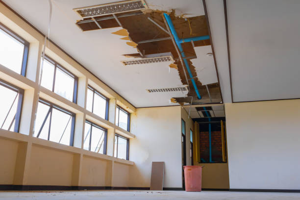 Best Sewage cleanup and water damage restoration  in Pittsfield, MA