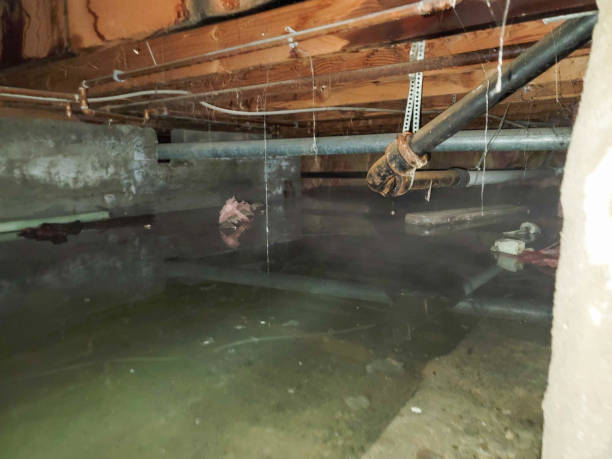 Best Flooded house restoration  in Pittsfield, MA