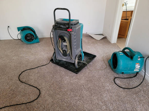 Best 24/7 water damage repair  in Pittsfield, MA
