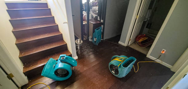 Best Mold removal after water damage  in Pittsfield, MA