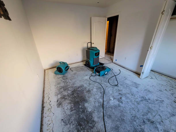 Best Basement water damage restoration  in Pittsfield, MA
