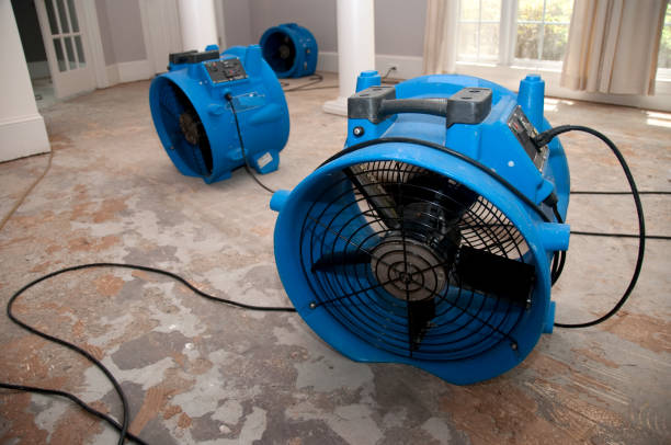 Best Water damage restoration near me  in Pittsfield, MA