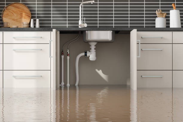 Best Residential water damage restoration  in Pittsfield, MA
