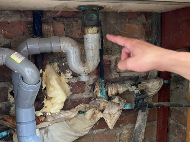 Best Local water damage restoration  in Pittsfield, MA