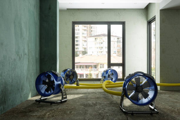 Best Water damage cleanup near me  in Pittsfield, MA